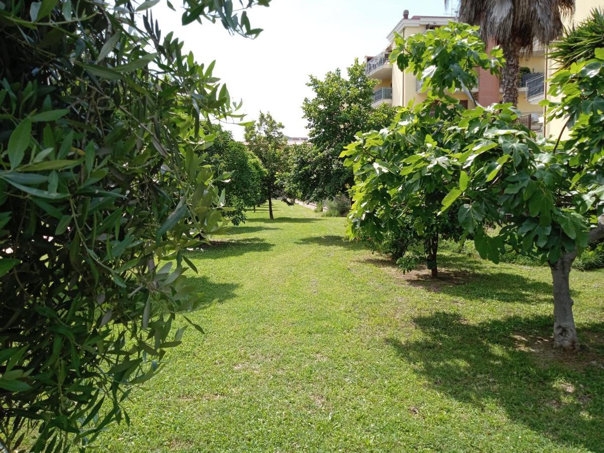 산베네데토델트론토 Casa Giardino 아파트 외부 사진